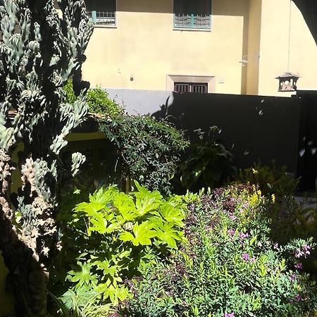 Loquat House Nel Giardino Segreto In Zona Vaticano Rome Buitenkant foto