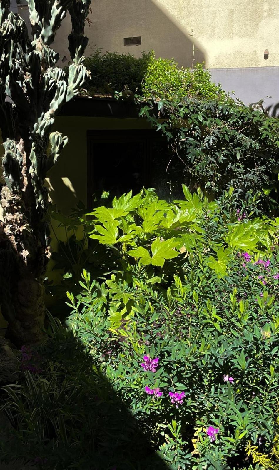 Loquat House Nel Giardino Segreto In Zona Vaticano Rome Buitenkant foto